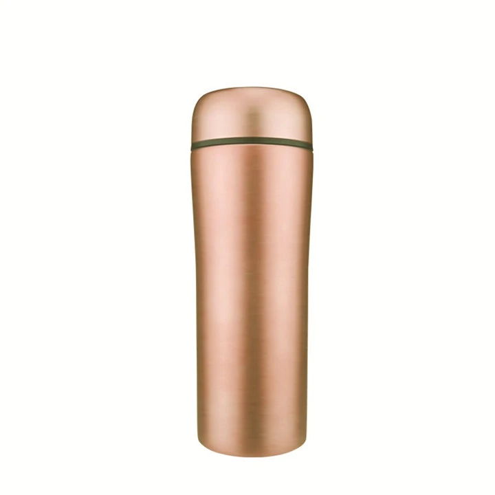 500ml Double Wall Bullet